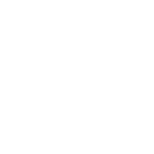 Ayesha Pole & Aerial Studio